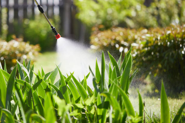 24/7 Emergency Fumigation Services experts in Concord, AL