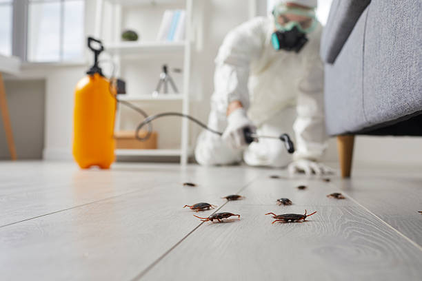Trusted Fumigation Services service in Concord, AL - Nex Pest Control